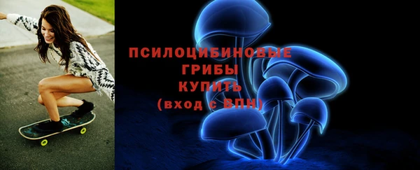 эйфоретик Алзамай