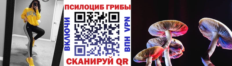Галлюциногенные грибы мухоморы  купить   Шадринск 